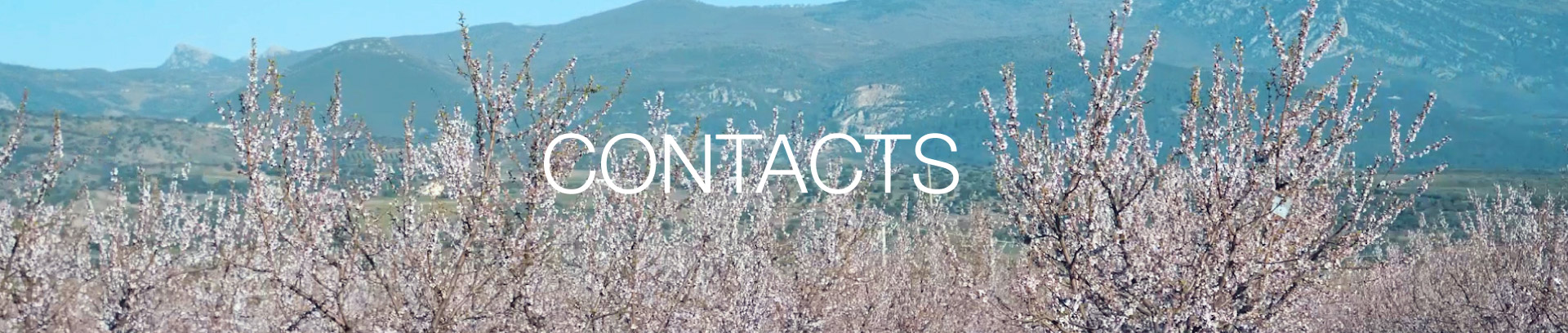 intestazione-contatti-agrinsieme-en