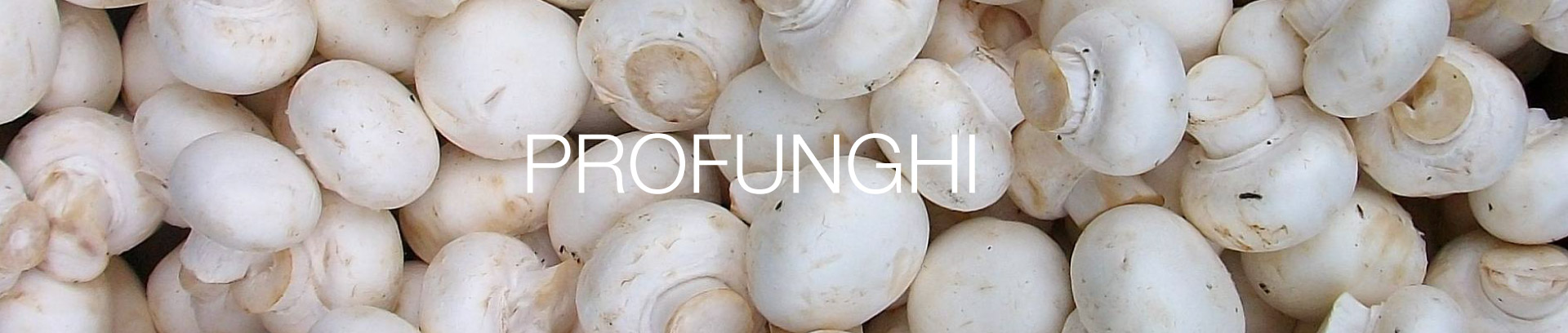 intestazione-profunghi-cooperativa-agricola