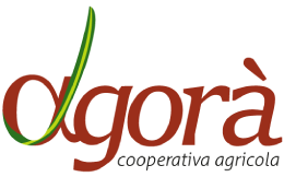 logo-agora-cooperativa-agricola-box