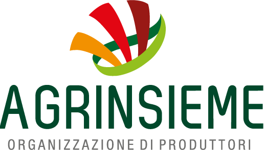 logo-agrinsieme-organizzazione-produttori