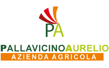 logo-pallavicino-aurelio