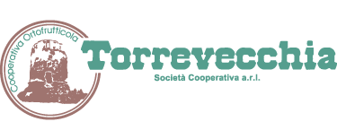 logo-torrevecchia