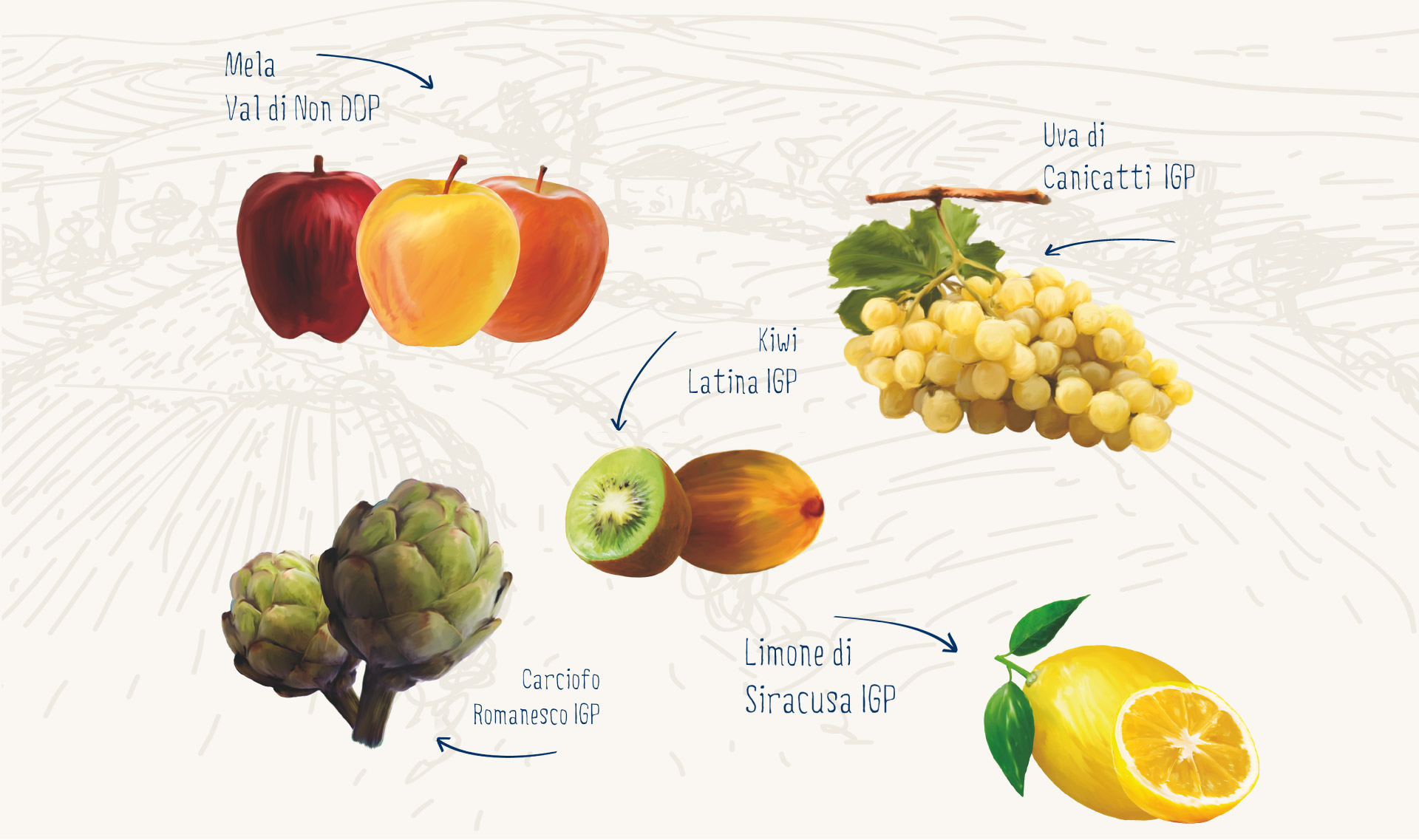 produzione-frutta-larga-scala-organizzazione-produttori-agrinsieme