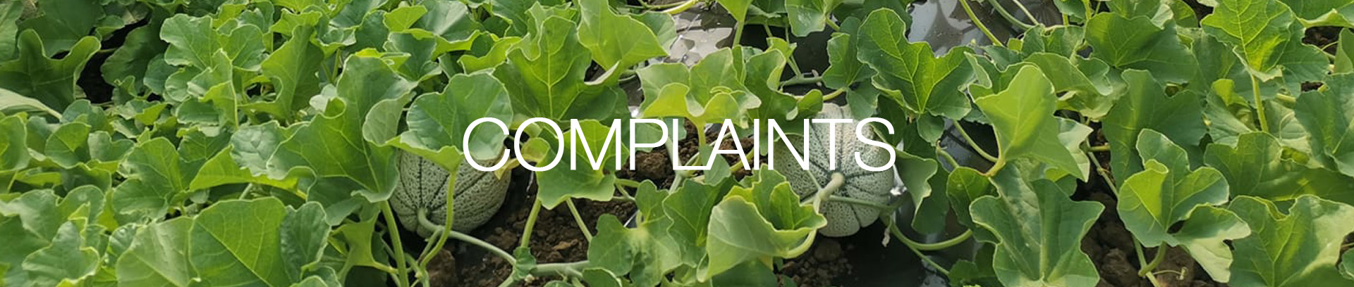 intestazione-complaints-agroama-oranizzazione-produttori